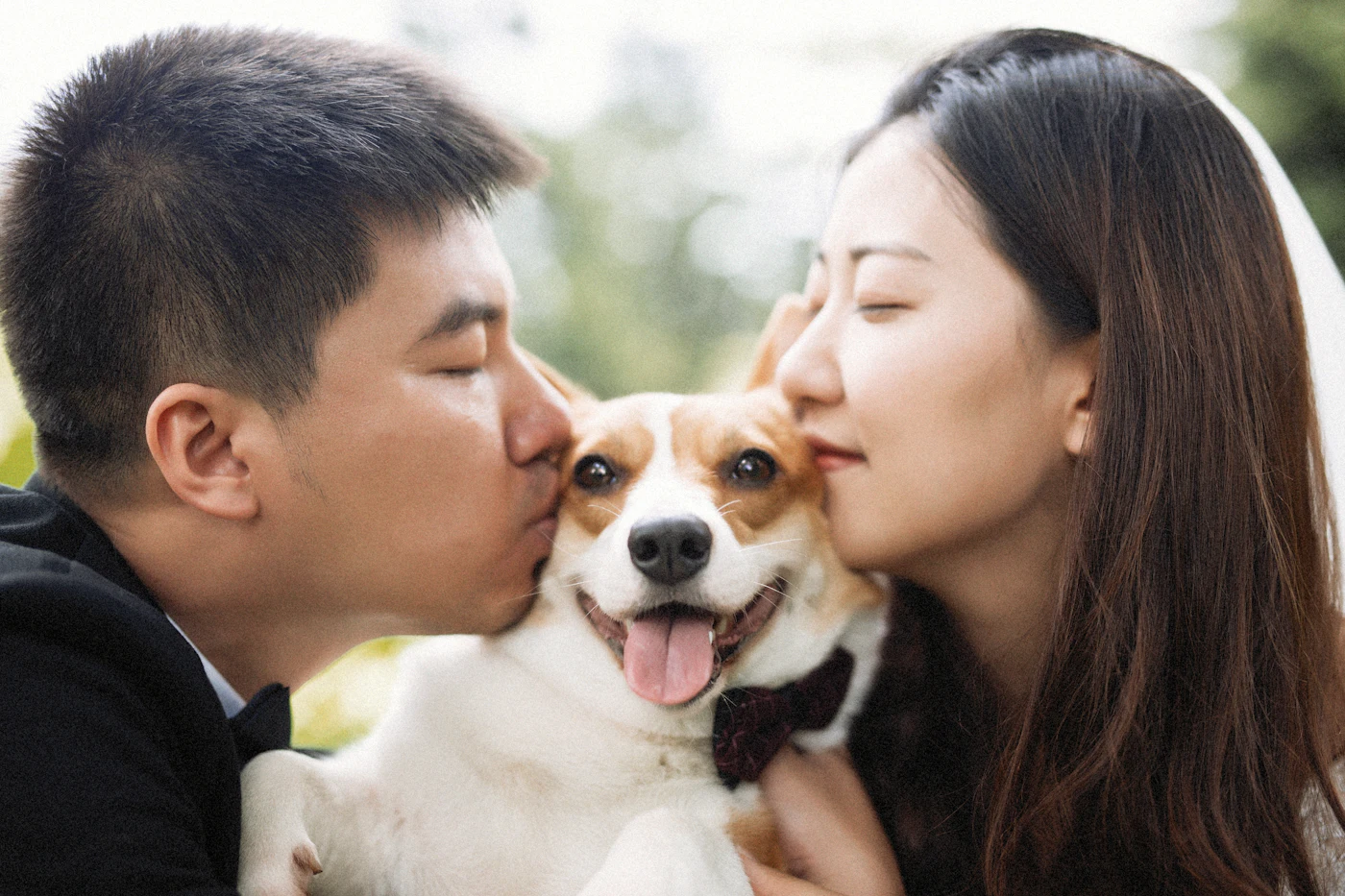 A couple kissing their smiling corgi